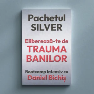 Pachetul Silver la Bootcamp Eliberează-te de Trauma Banilor