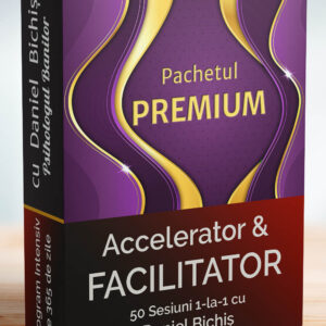 50 Sesiuni 1-la-1 cu Daniel Bichiș, Psihologul Banilor